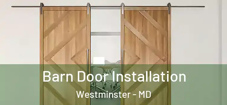  Barn Door Installation Westminster - MD
