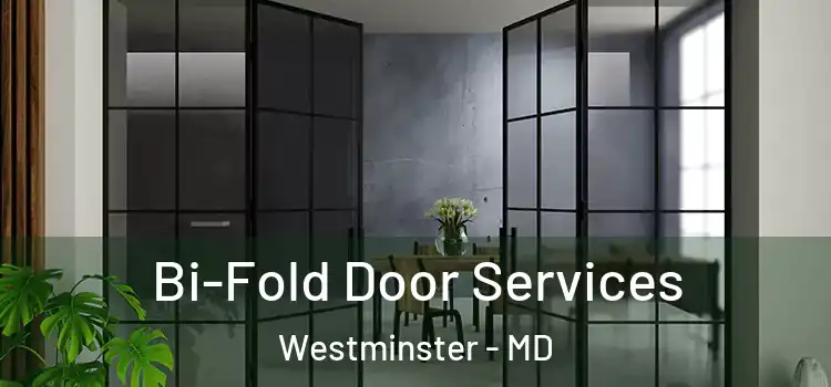 Bi-Fold Door Services Westminster - MD