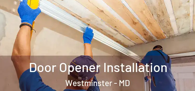 Door Opener Installation Westminster - MD