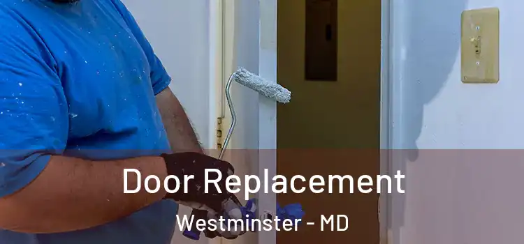Door Replacement Westminster - MD