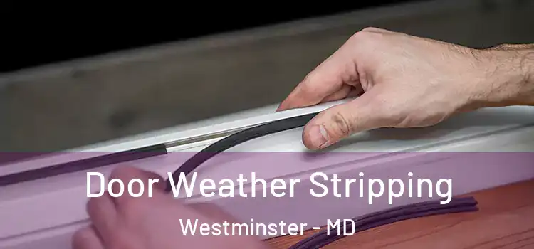 Door Weather Stripping Westminster - MD