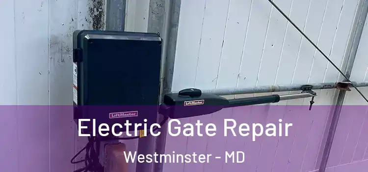 Electric Gate Repair Westminster - MD
