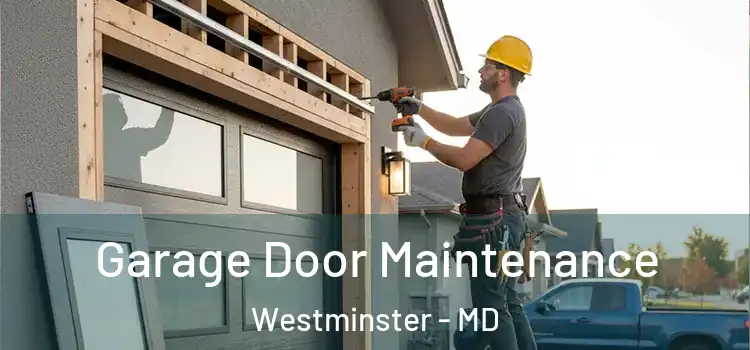 Garage Door Maintenance Westminster - MD