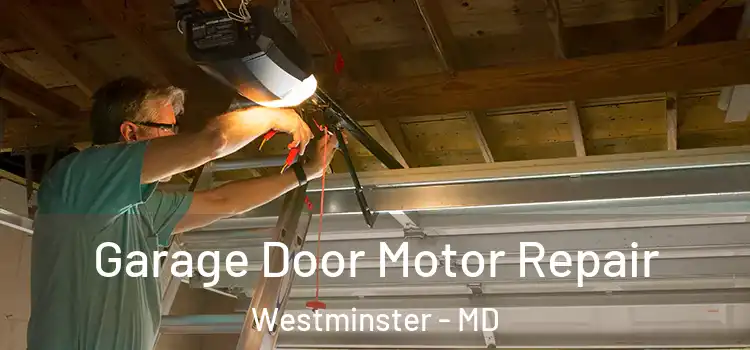 Garage Door Motor Repair Westminster - MD