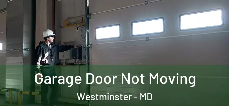  Garage Door Not Moving Westminster - MD