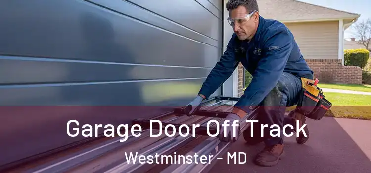  Garage Door Off Track Westminster - MD