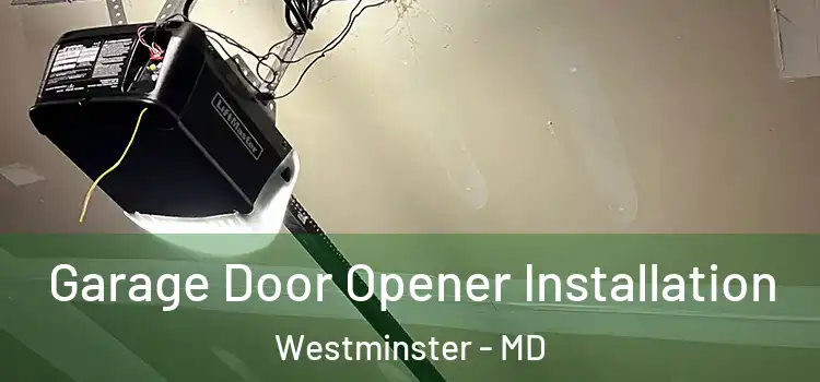  Garage Door Opener Installation Westminster - MD