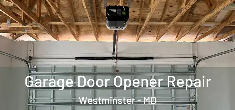  Garage Door Opener Repair Westminster - MD