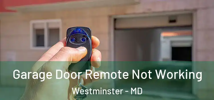 Garage Door Remote Not Working Westminster - MD