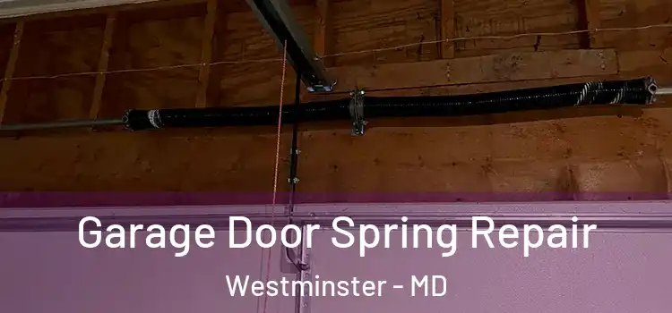  Garage Door Spring Repair Westminster - MD