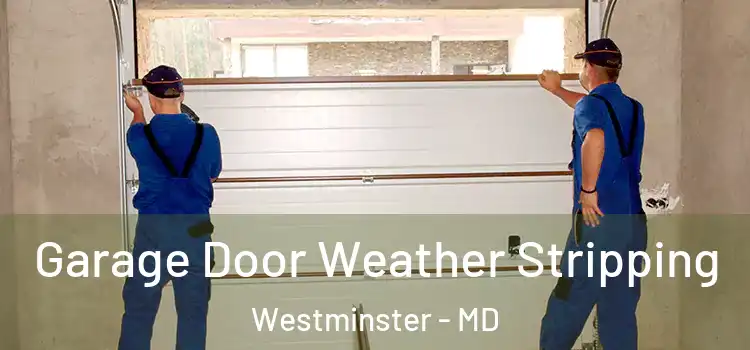  Garage Door Weather Stripping Westminster - MD