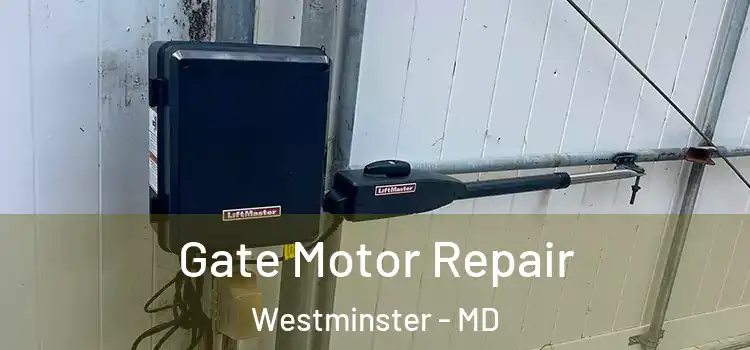Gate Motor Repair Westminster - MD