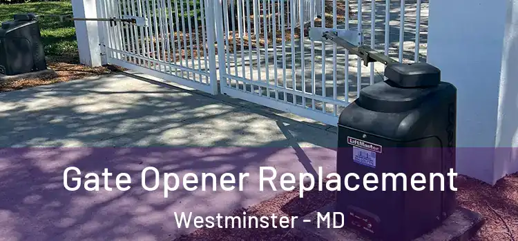 Gate Opener Replacement Westminster - MD