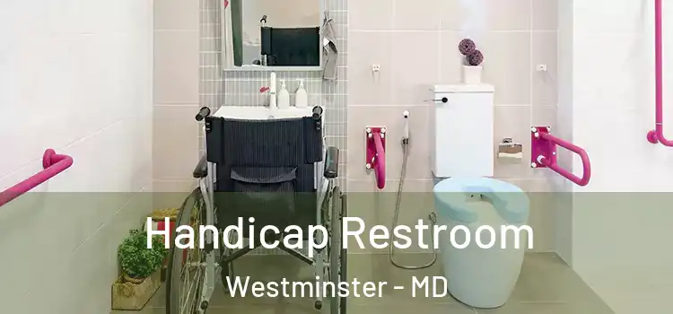 Handicap Restroom Westminster - MD