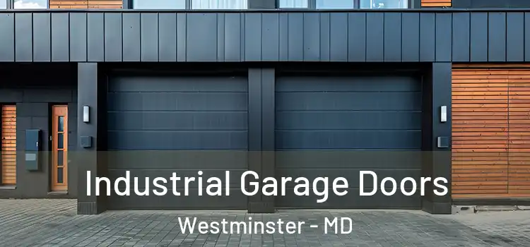  Industrial Garage Doors Westminster - MD