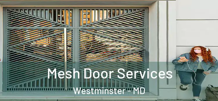  Mesh Door Services Westminster - MD