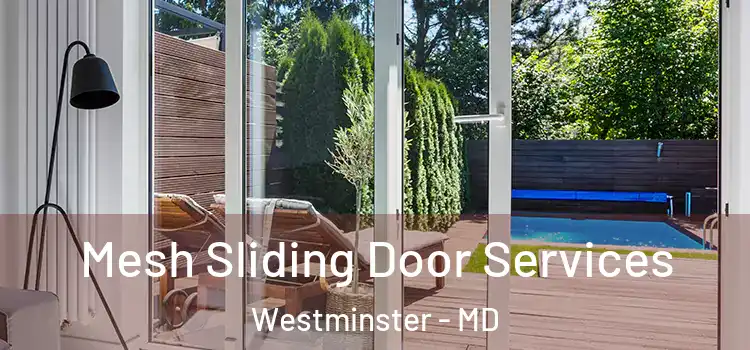 Mesh Sliding Door Services Westminster - MD