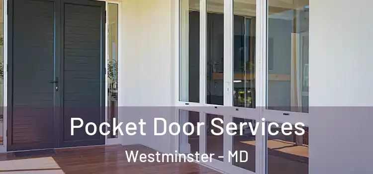 Pocket Door Services Westminster - MD