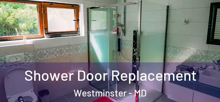 Shower Door Replacement Westminster - MD