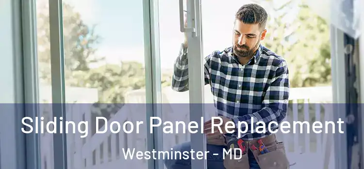  Sliding Door Panel Replacement Westminster - MD