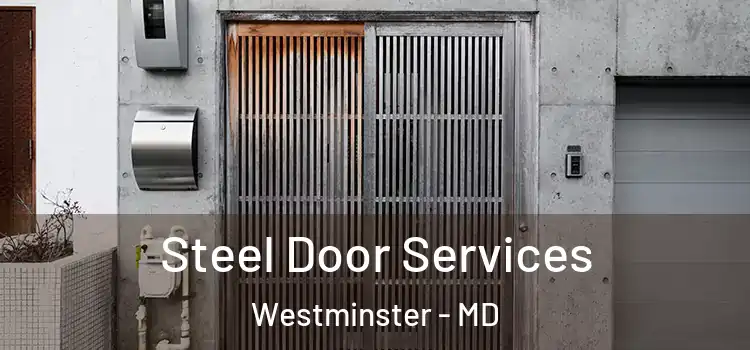 Steel Door Services Westminster - MD